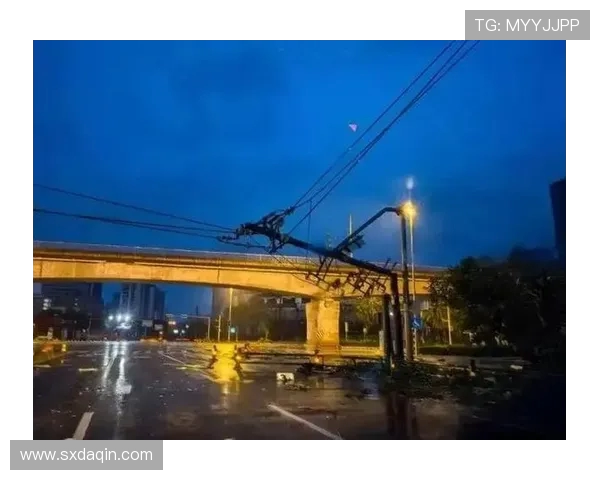 体育场馆在超强台风下的幕墙风压压力测