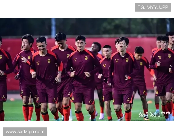 世界杯预选赛期间球员在国家队的战术地位