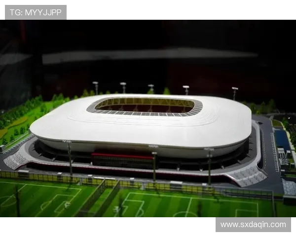 全球顶级足球场球员通道的吸音降噪设计